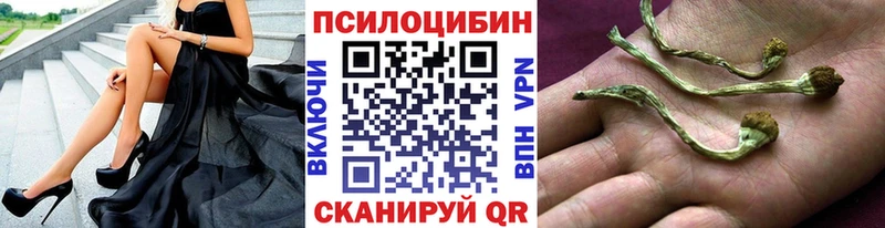 Галлюциногенные грибы ЛСД Кандалакша