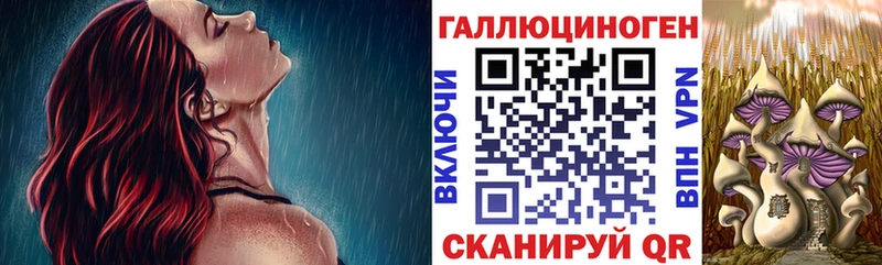 где продают наркотики  Кандалакша  Галлюциногенные грибы GOLDEN TEACHER 