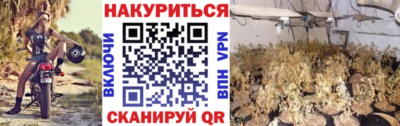 Конопля Ganja  omg зеркало  Кандалакша  купить наркоту 