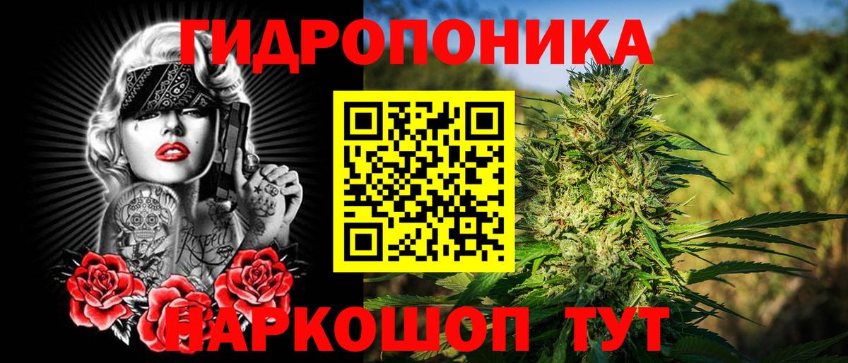 Марихуана план Кандалакша